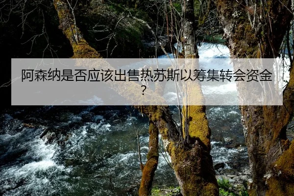 阿森纳是否应该出售热苏斯以筹集转会资金？