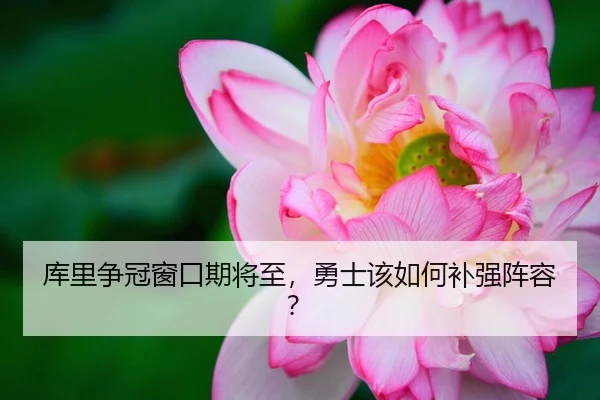库里争冠窗口期将至，勇士该如何补强阵容？
